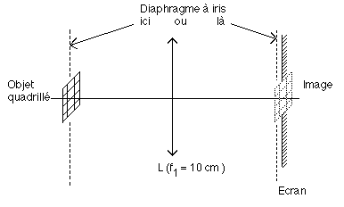 diaphragme